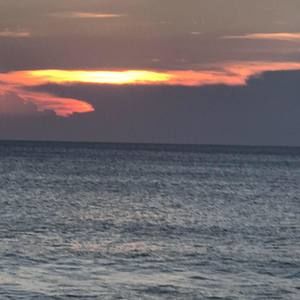 Meet your Posher, Jo